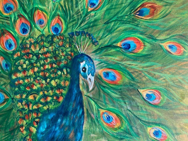 Peacock By Panni Loh