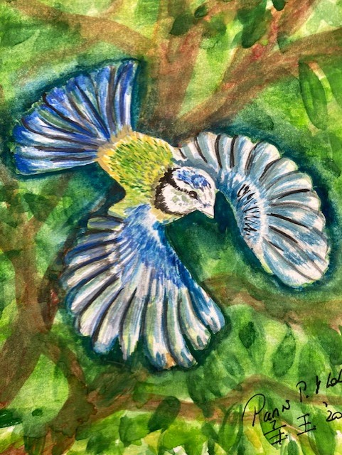 Bluetit