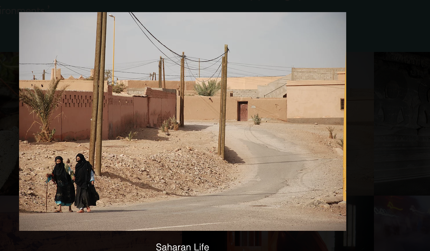 Saharan Life 2021 05 11 At 17.06.50