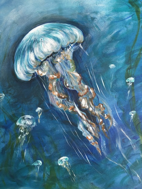 Sea Netle Jellies Panni Loh